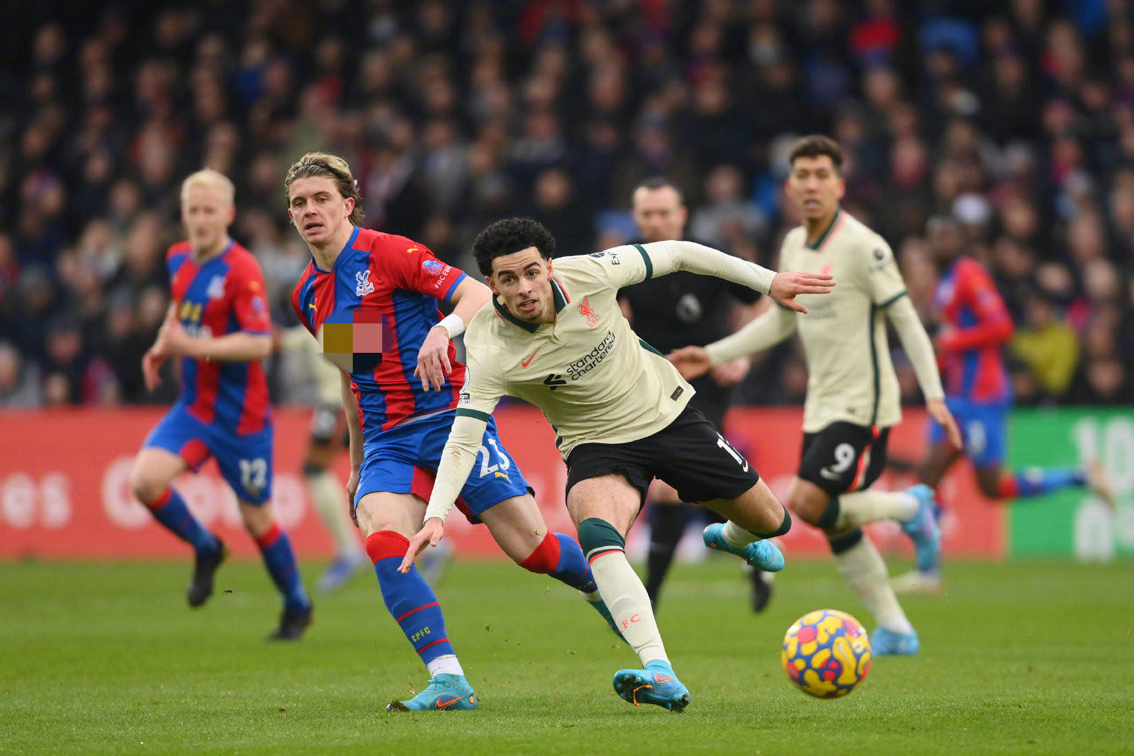 充满看点 充满看点